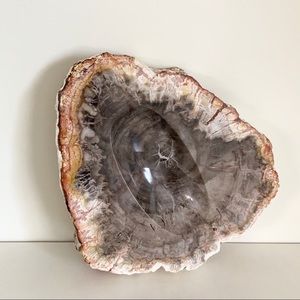 Petrified wood stone dish